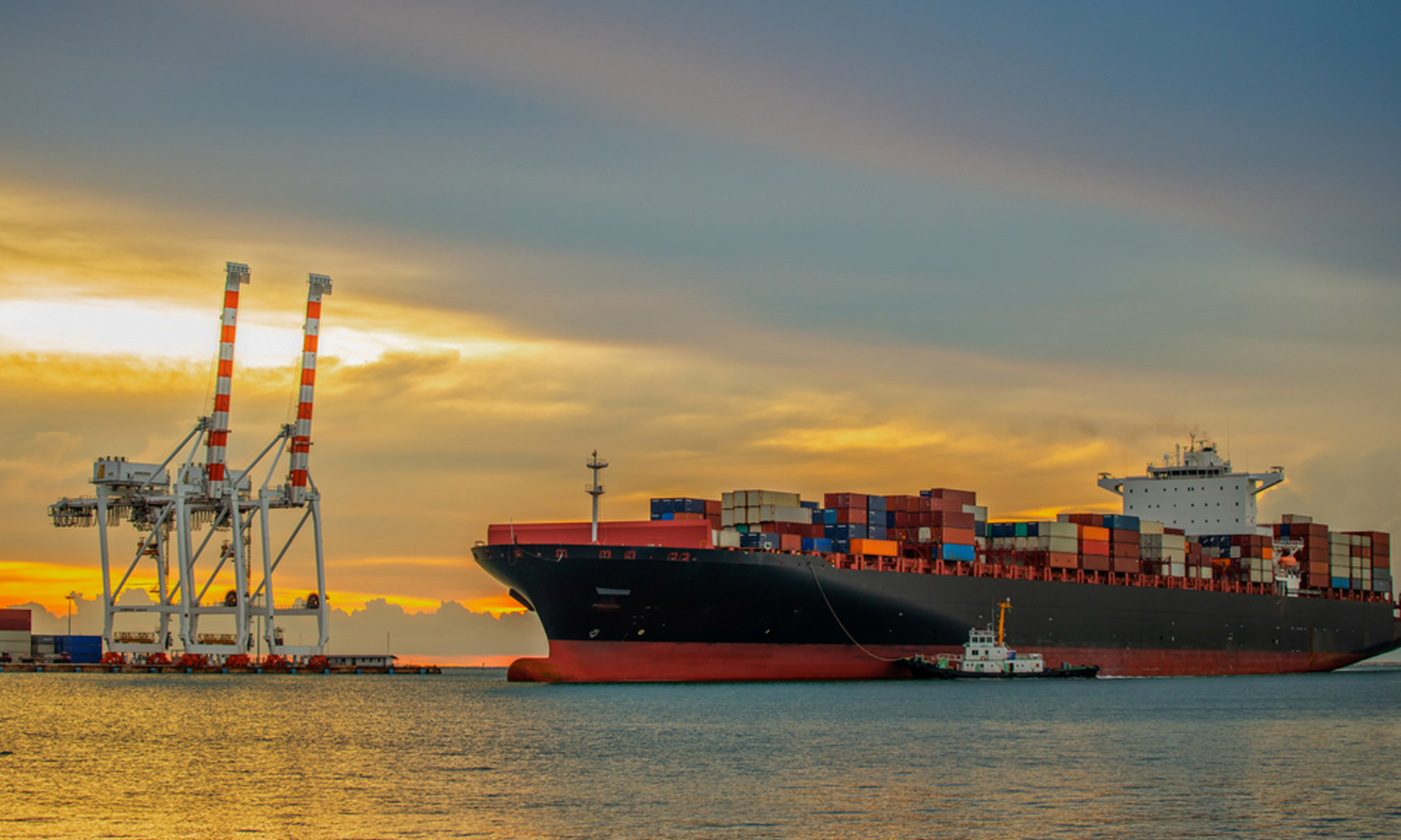 Fuel Reports Terminal Gate Prices (TGP) Fueltrac Fuel and